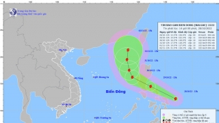 Tin bão khẩn cấp: Cơn bão số 7 (bão NALGAE)