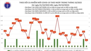 Tối 29/10: Ghi nhận 263 ca mắc COVID-19 mới, có 290 bệnh nhân khỏi bệnh