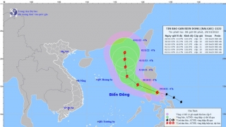 Cập nhật tình hình cơn bão số 7 - NALGAE đến 8h sáng ngày 29/10