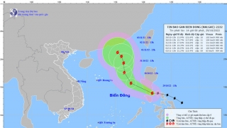Cập nhật tình hình cơn bão số 7 - NALGAE đến 14h chiều ngày 29/10
