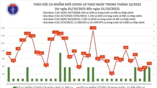 Tối 31/10: Ghi nhận 410 ca mắc COVID-19 mới, có 216 bệnh nhân khỏi bệnh