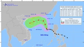 Cập nhật tình hình cơn bão số 7 - Nalgae đến 11h trưa ngày 31/10