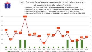 Tối 1/11: Ghi nhận 449 ca mắc COVID-19 mới, có 386 bệnh nhân khỏi bệnh