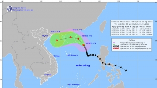 Cập nhật tình hình cơn bão số 7 - Nalgae đến 8h sáng ngày 1/11