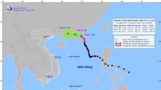 Cập nhật tình hình cơn bão số 7 - Nalgae đến 17h chiều ngày 2/11
