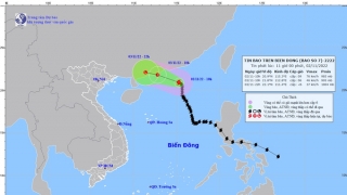 Cập nhật tình hình cơn bão số 7 - Nalgae đến 11h trưa ngày 2/11