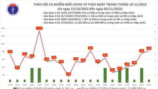 Tối 3/11: Ghi nhận 819 ca mắc COVID-19 mới, có 244 bệnh nhân khỏi bệnh