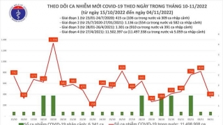 Tối 4/11: Ghi nhận 339 ca mắc COVID-19 mới, có 195 bệnh nhân khỏi bệnh