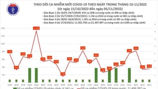 Tối 5/11: Ghi nhận 359 ca mắc COVID-19 mới, có 210 bệnh nhân khỏi bệnh