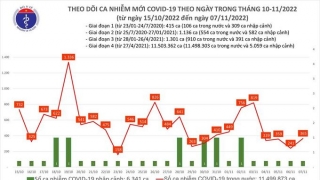 Tối 7/11: Ghi nhận 365 ca mắc COVID-19 mới, có 118 bệnh nhân khỏi bệnh