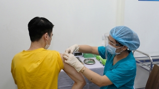 Tình hình tiêm chủng vaccine phòng COVID-19 tính đến ngày 8/11