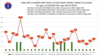 Tối 8/11: Ghi nhận 442 ca mắc COVID-19 mới, có 227 bệnh nhân khỏi bệnh