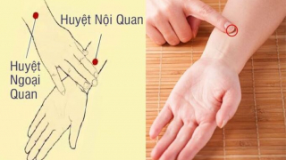 Huyệt Ngoại Quan có tác dụng rất tốt trong việc giải biểu, khu đờm, đả thông kinh lạc