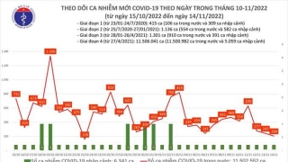 Tối 14/11: Ghi nhận 204 ca mắc COVID-19 mới, có 66 bệnh nhân khỏi bệnh