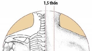 Công dụng của huyệt Can Du với sức khỏe