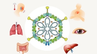 Những thông tin lưu ý về Adenovirus