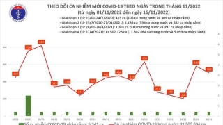 Tối 16/11: Ghi nhận 502 ca mắc COVID-19 mới, có 143 bệnh nhân khỏi bệnh