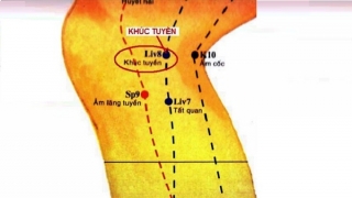 Huyệt Khúc Tuyền đem lại nhiều hiệu quả tích cực trong điều trị các bệnh về xương khớp gối