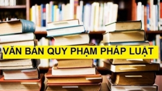 Rà soát, bãi bỏ văn bản quy phạm pháp luật thuộc thẩm quyền của Thủ tướng Chính phủ