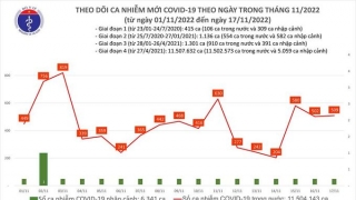 Tối 17/11: Ghi nhận 509 ca mắc COVID-19 mới, có 161 bệnh nhân khỏi bệnh