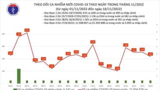 Tối 18/11: Ghi nhận thêm 435 ca mắc COVID-19 mới, 172 bệnh nhân khỏi bệnh