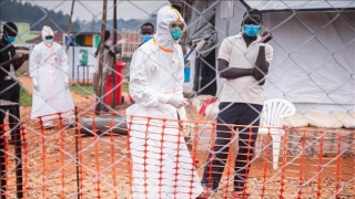 WHO: Kêu gọi tài trợ thêm kinh phí hỗ trợ ứng phó dịch Ebola tại châu Phi