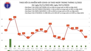 Tối 19/11: Ghi nhận thêm 259 ca mắc COVID-19 mới, 113 bệnh nhân khỏi bệnh