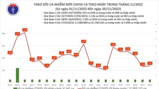 Tối 20/11: Ghi nhận 274 ca mắc COVID-19, có 155 bệnh nhân khỏi bệnh