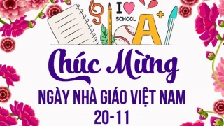 Những lời chúc hay và ý nghĩa ngày Nhà giáo Việt Nam 20/11