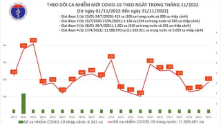 Tối 21/11: Ghi nhận 370 ca mắc COVID-19, có 113 bệnh nhân khỏi bệnh