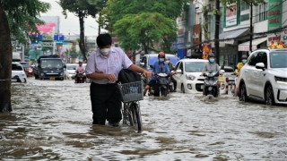 Bình Định chủ động cho học sinh nghỉ học tùy tình hình mưa lũ