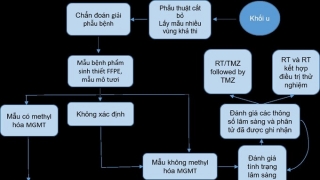 Quy trình xét nghiệm phát hiện methyl hóa promoter gen MGMT