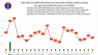 Tối 22/11: Ghi nhận 316 ca mắc COVID-19 mới, có 152 bệnh nhân khỏi bệnh