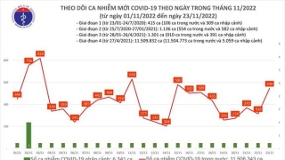 Tối 23/11: Ghi nhận có 546 ca mắc COVID-19 mới, có 179 bệnh nhân khỏi bệnh