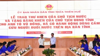 Thừa Thiên - Huế tổ chức trao Thư khen của Chủ tịch nước và tặng Bằng khen của Chủ tịch UBND tỉnh cho anh Tô Vũ Đồng