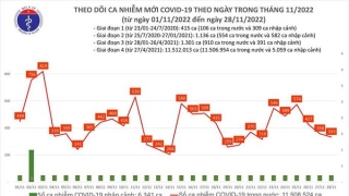 Tối 28/11: Ghi nhận thêm 333 ca mắc COVID-19 mới, 101 bệnh nhân khỏi bệnh