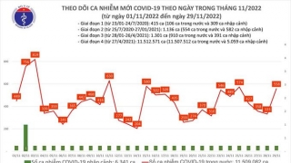 Tối 29/11: Ghi nhận thêm 558 ca mắc COVID-19 mới, 129 bệnh nhân khỏi bệnh