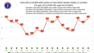 Tối 1/12: Ghi nhận 581 ca mắc COVID-19 mới, có 89 bệnh nhân khỏi bệnh