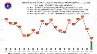 Tối 4/12: Ghi nhận 204 ca mắc COVID-19 mới, 93 bệnh nhân khỏi bệnh