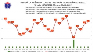 Tối 8/12: Ghi nhận 528 ca mắc COVID-19 mới, có 113 bệnh nhân khỏi bệnh