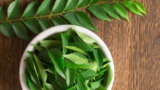Những lợi ích sức khỏe của lá cà ri trong mùa đông
