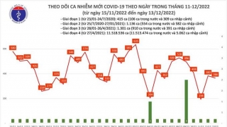 Tối 13/12: Ghi nhận 366 ca mắc COVID-19 mới, có 106 bệnh nhân khỏi bệnh