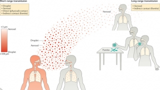 Châu Âu đối mặt với các loại virus đường hô hấp hoành hành