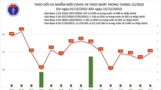 Tối 15/12: Ghi nhận 389 ca mắc COVID-19 mới, có 123 bệnh nhân khỏi bệnh