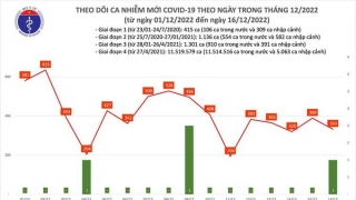 Tối 16/12: Ghi nhận 333 ca mắc COVID-19 mới, có 87 bệnh nhân khỏi bệnh