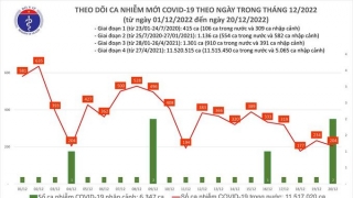 Tối 20/12: Ghi nhận 204 ca mắc COVID-19 mới, có 59 bệnh nhân khỏi bệnh