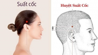 Huyệt Suất Cốc có vai trò quan trọng trong việc chữa các chứng đau nửa đầu, hoa mắt, chóng mắt