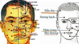 Vị trí, tác dụng và hướng dẫn cách bấm huyệt Địa Thương