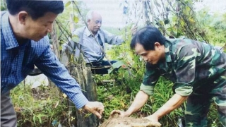 Nghiên cứu ứng dụng khoa học và phát triển dược liệu tại Việt Nam