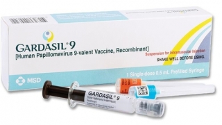 Gardasil 9 là vaccine bình đẳng giới, phòng ngừa các bệnh do 9 tuýp HPV gây ra